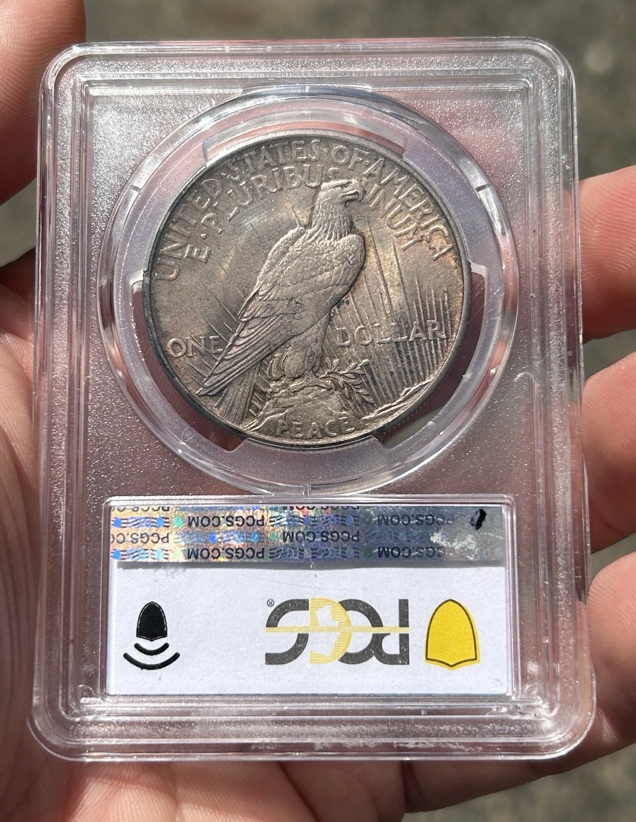 The Complete Collection of 1921~1935 Peace Silver Dollar