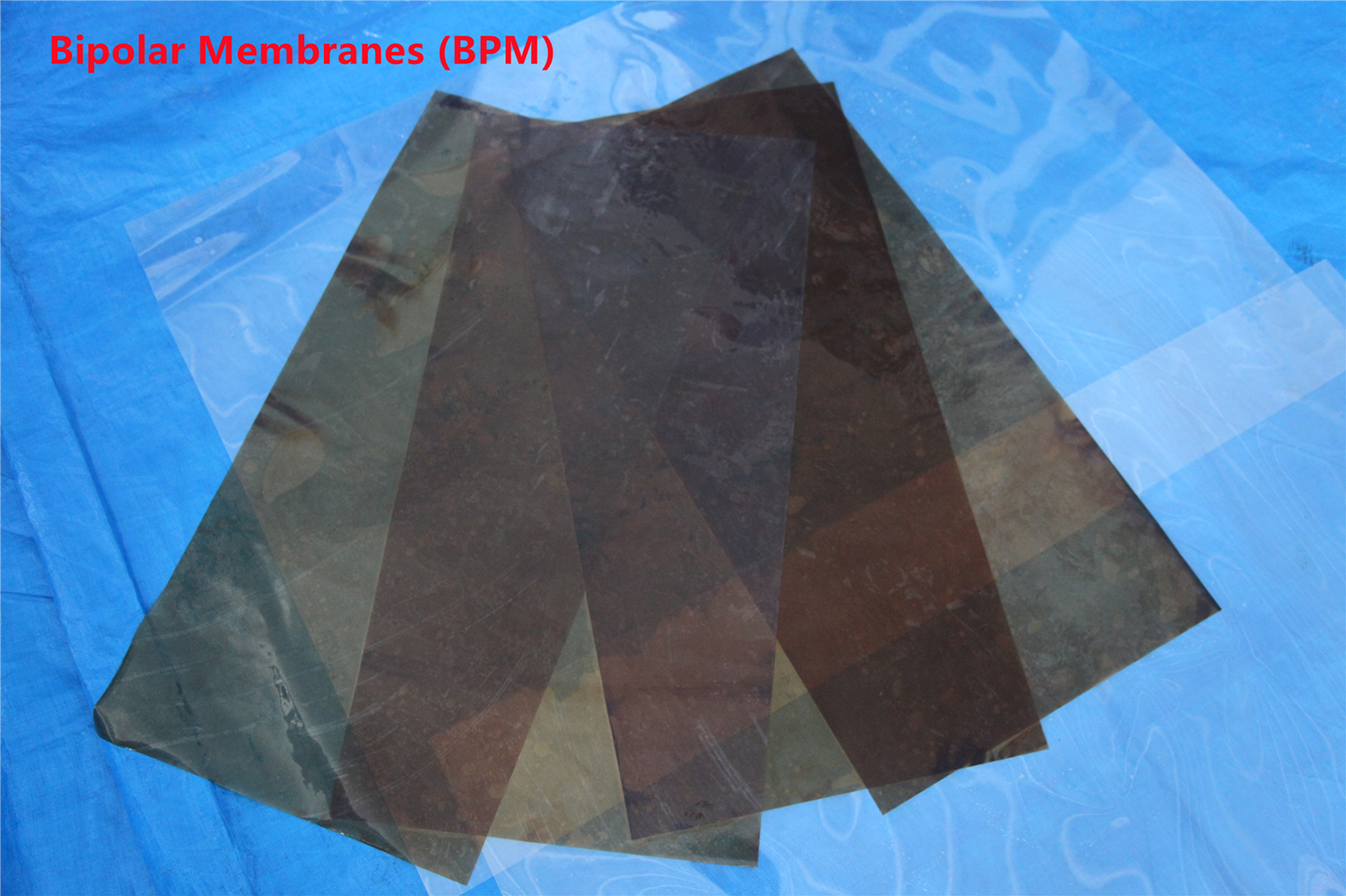 Bipolar membranes (BPM)