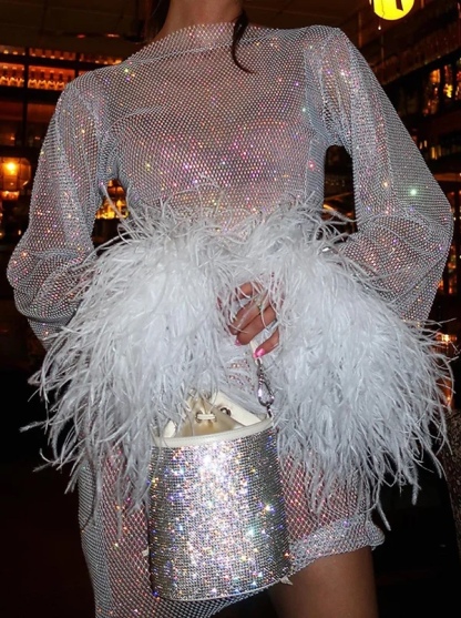 Glitter Sequin Feather Hem Sleeve Mini Dress
