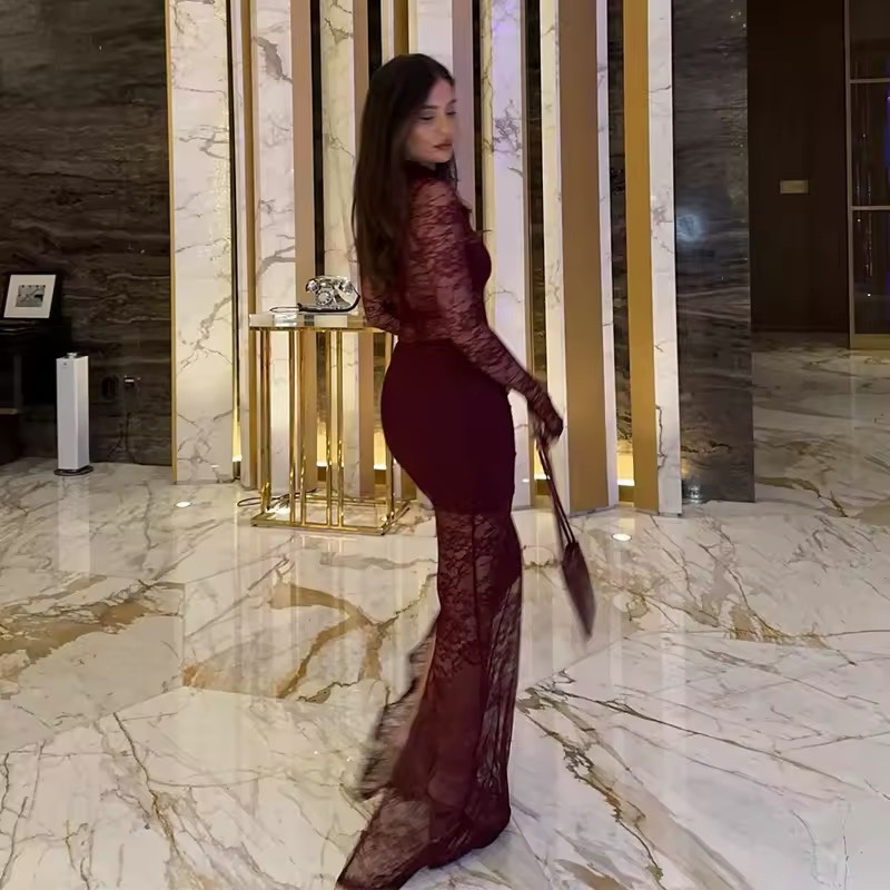 Lace Mesh Bodycon Maxi Dress Long Sleeve