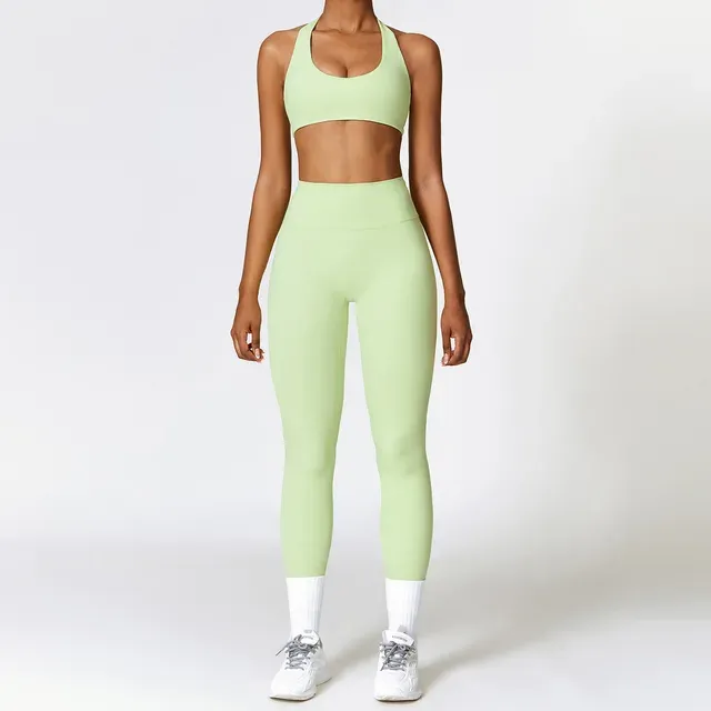 Seamless High Waist Leggings Sports Bra Gym Outfit