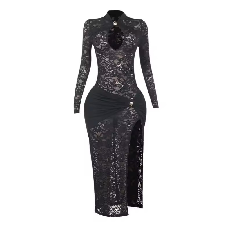Lace Mesh Long Sleeve Cut Out Bodycon Maxi Dress