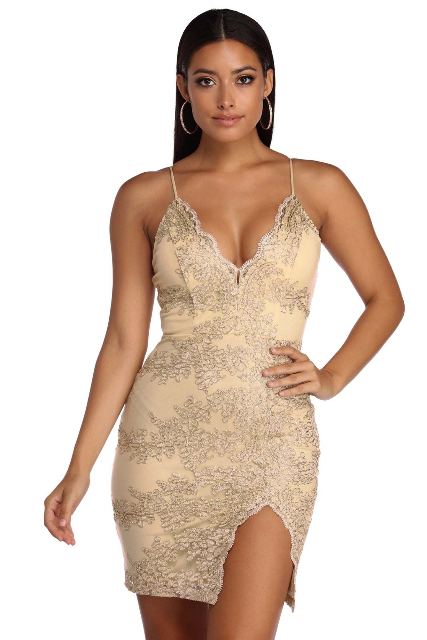 Lace Bodycon Dress - Lady Occasions