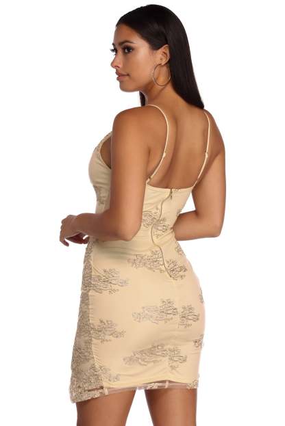 Lace Bodycon Dress - Lady Occasions