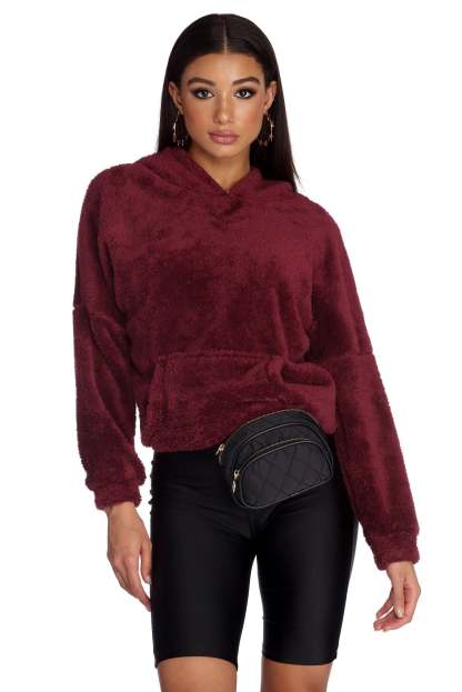 Comfy Cozy Plush Hoodie - Lady Occasions