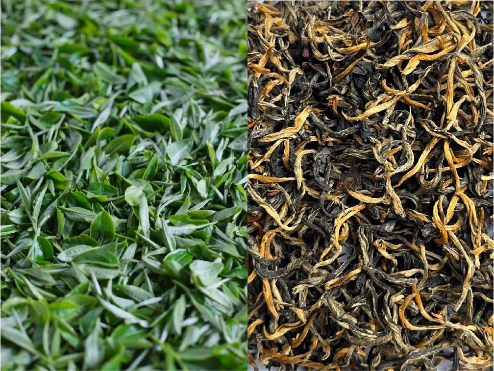 How is Yingde black tea made?-Tea of moments