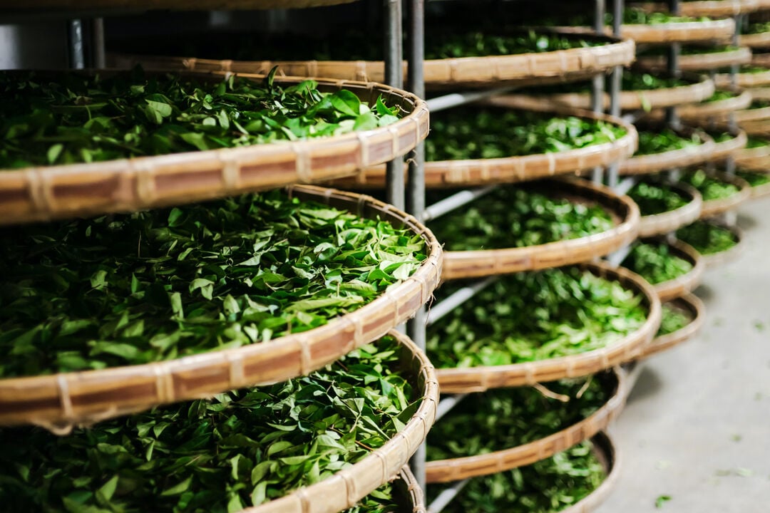 avoury.com/at/en/magazin...