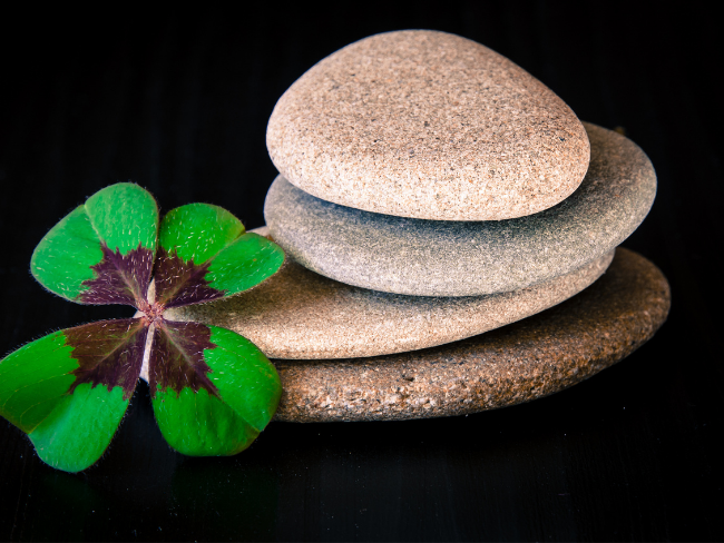 The Beautiful Meanings of Four-Leaf Clovers