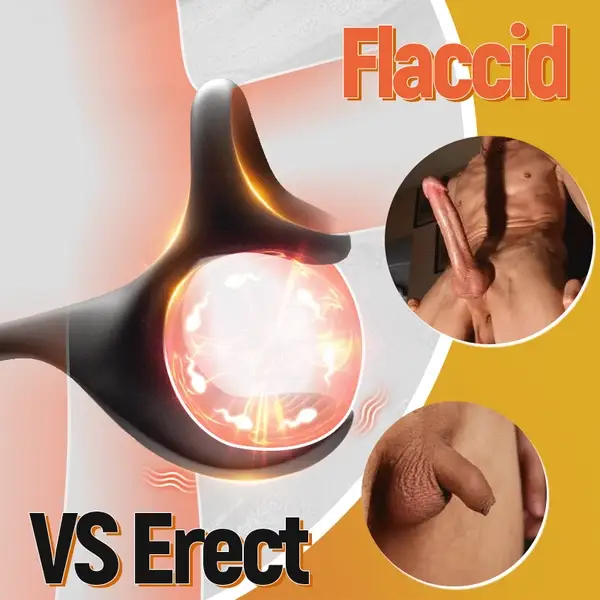 🔥💥Special launch of Secret Garden Set Explorer - Dragon Knight