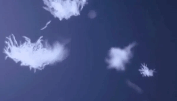 1726905607102122.gif 8.gif