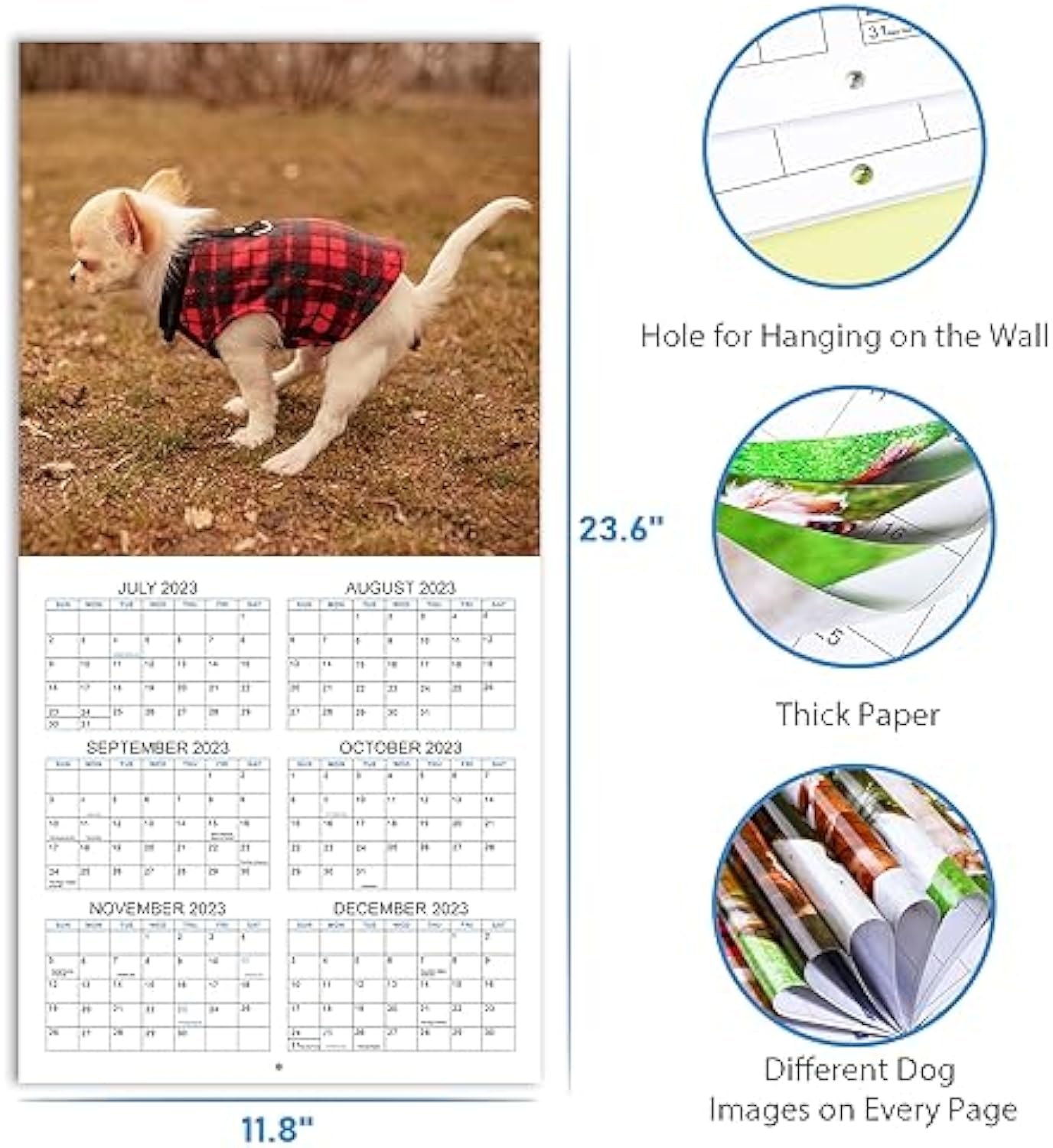 2024 Wall Calendar – 12 Monthly Pooping Dogs Calendar