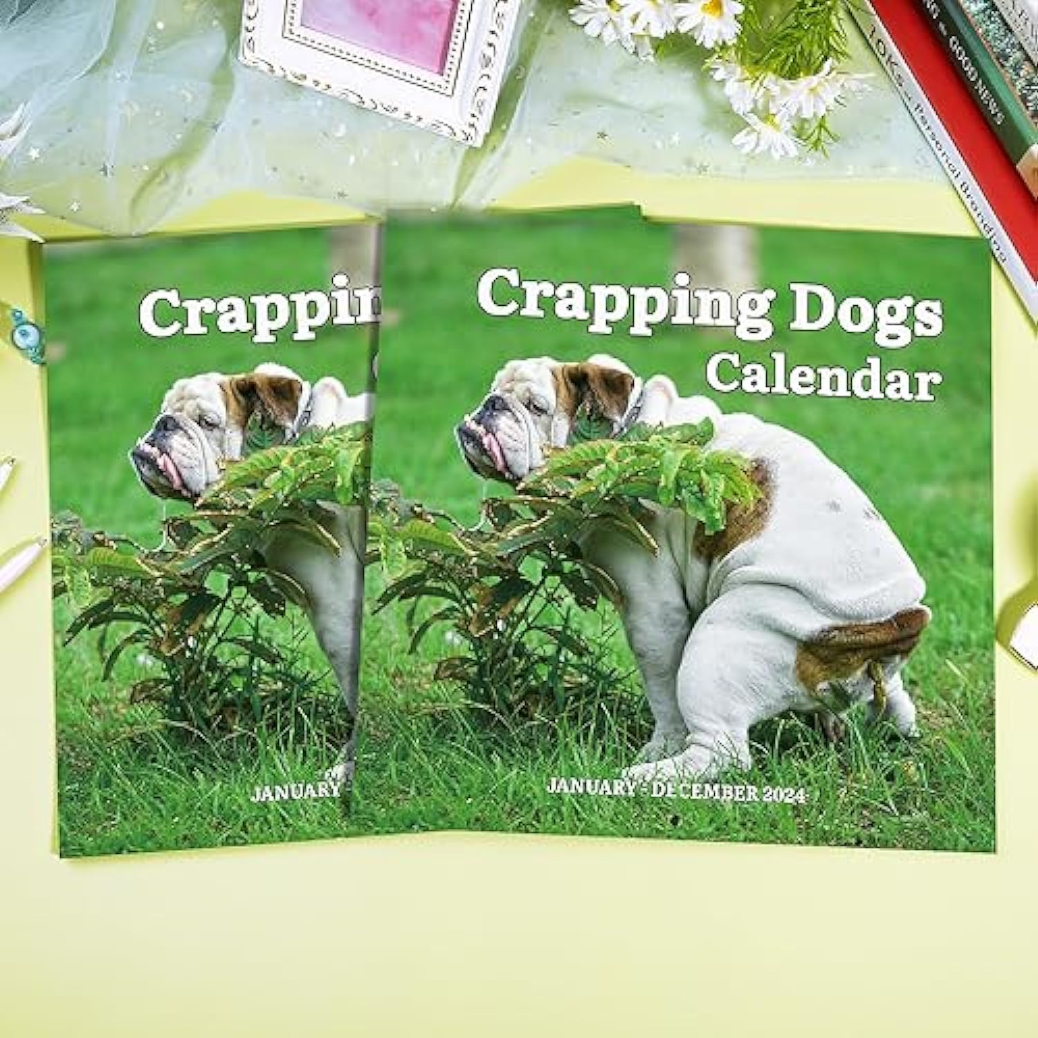2024 Wall Calendar – 12 Monthly Pooping Dogs Calendar