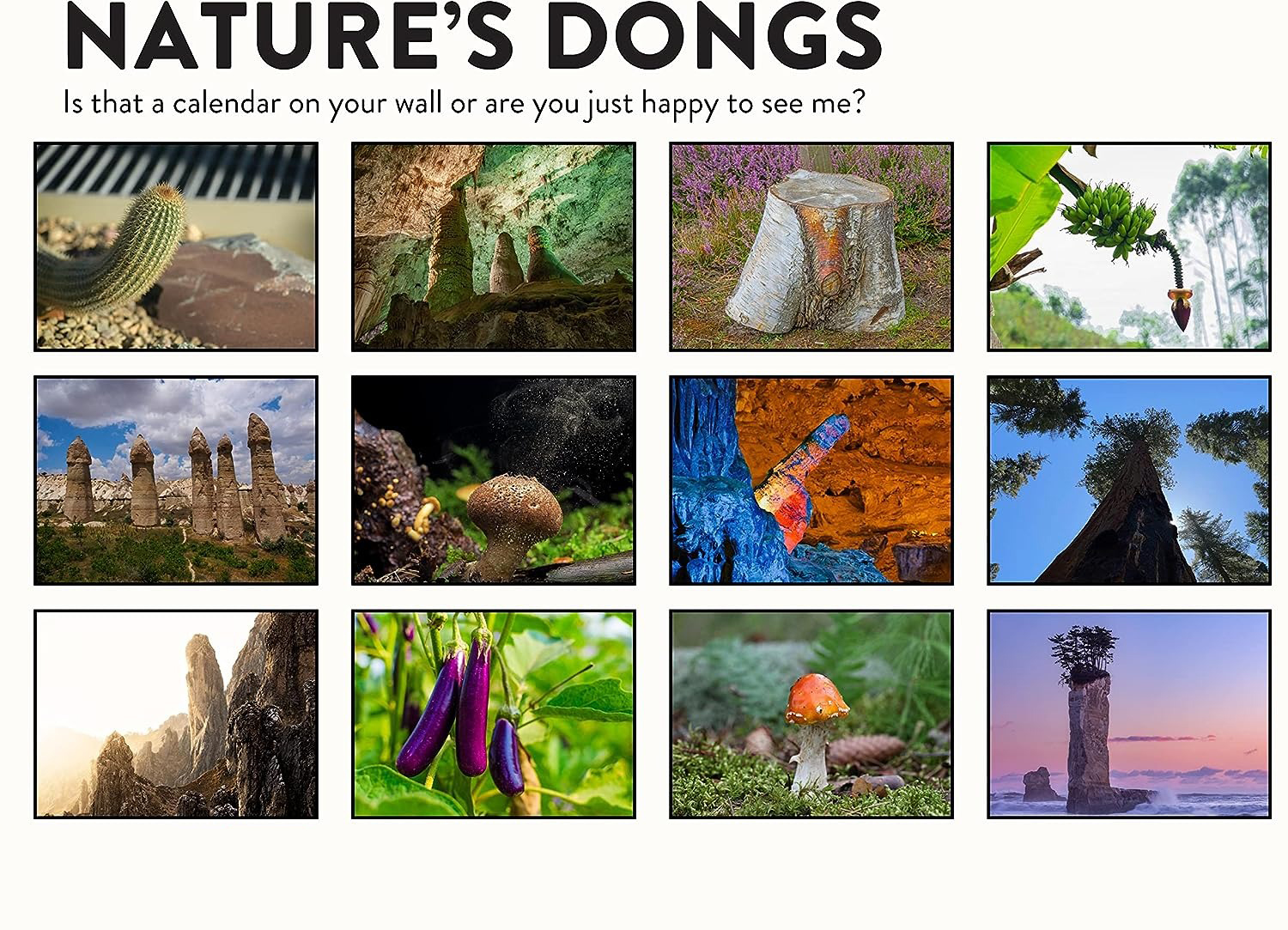 😆FUNNIEST CALENDAR OF THE CENTURY | 2024 Nature Funny Adult Shaped Pics Calendar