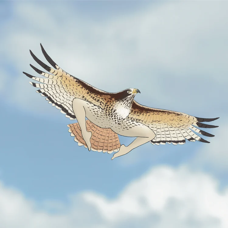 😆2024 CALENDAR OF EXTREMELY ACCURATE BIRDS