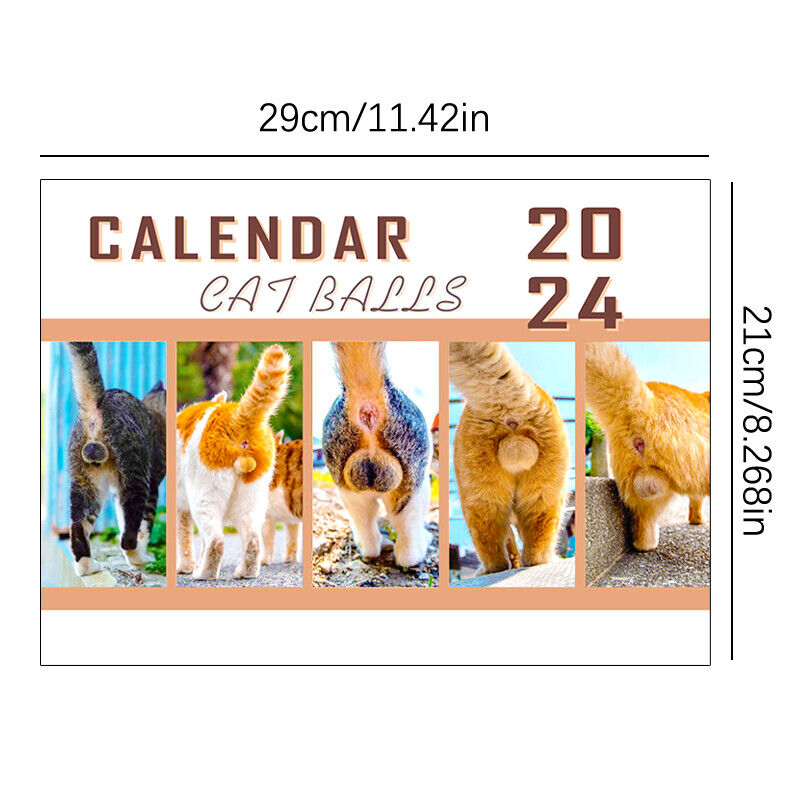 🐱Funny Cat Butts Calendar 2024 For Cat Lovers💖