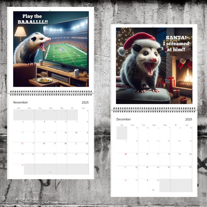 🐭2025 Funny Screaming Possums Calendar