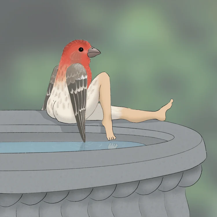 😆2024 CALENDAR OF EXTREMELY ACCURATE BIRDS