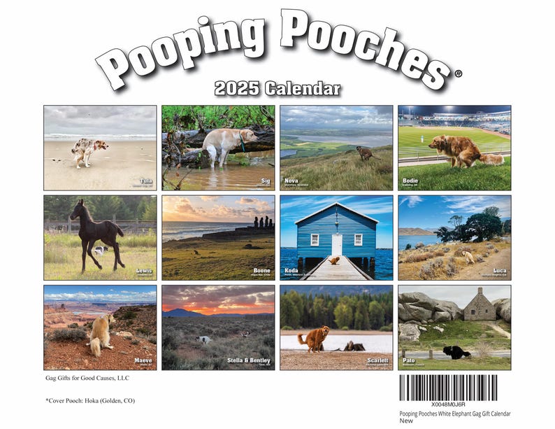 2025 Pooping Pooches Dog Calendar
