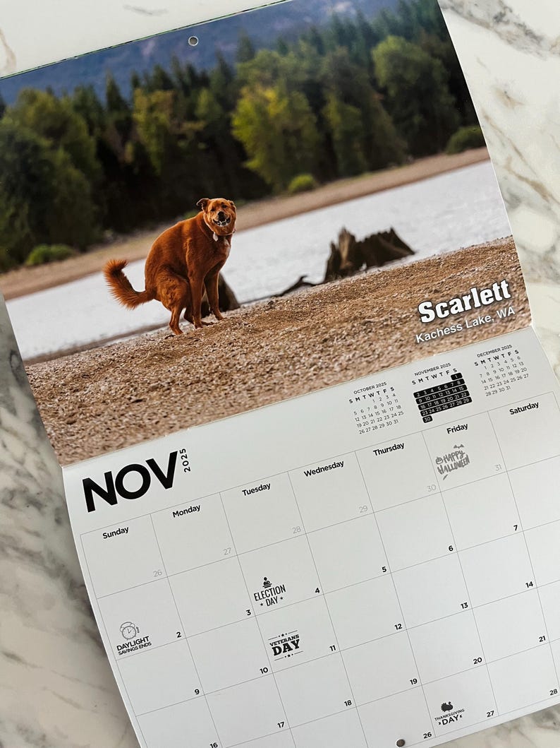 2025 Pooping Pooches Dog Calendar
