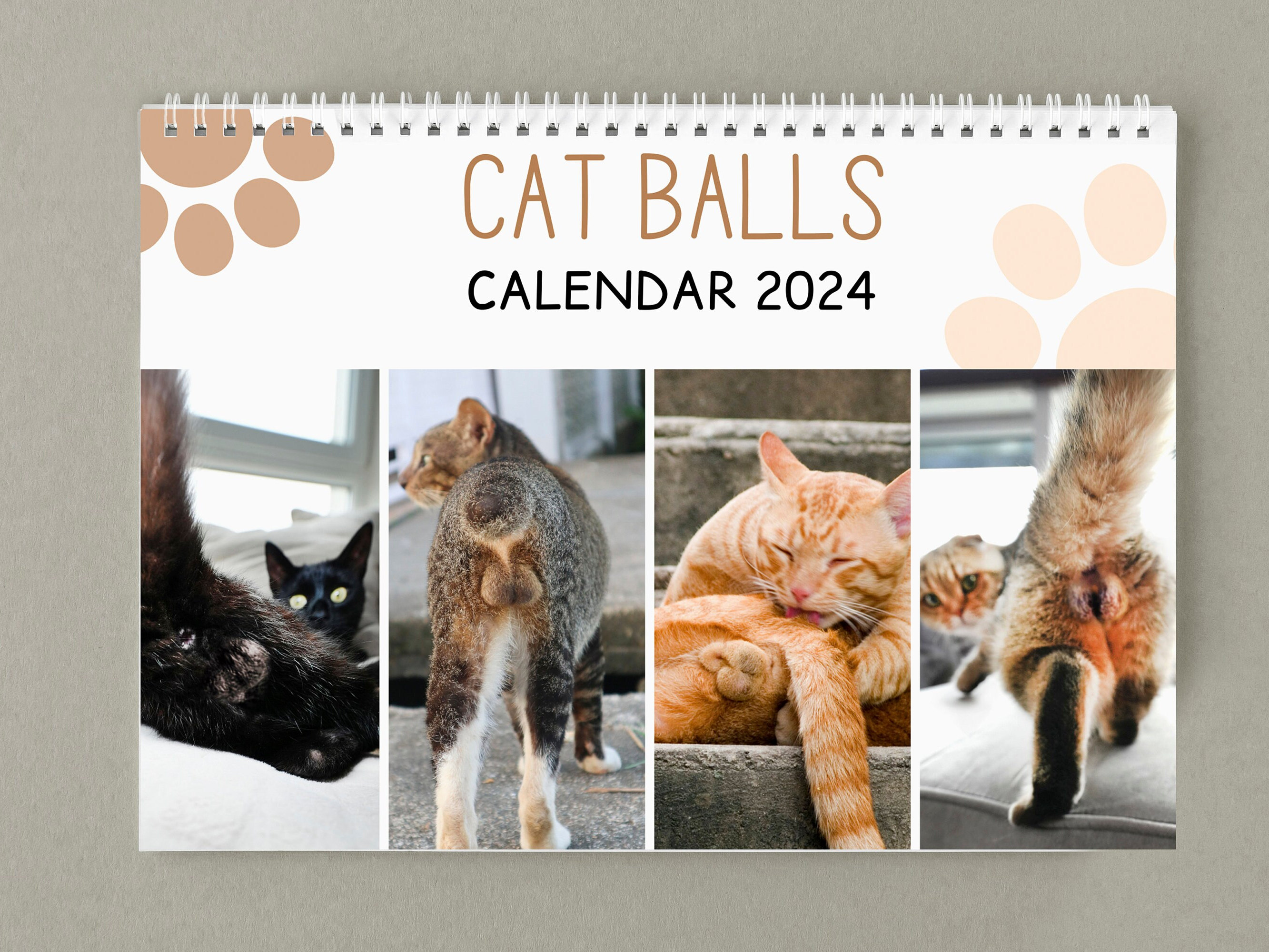 🤣Funny Cat Calendar 2024