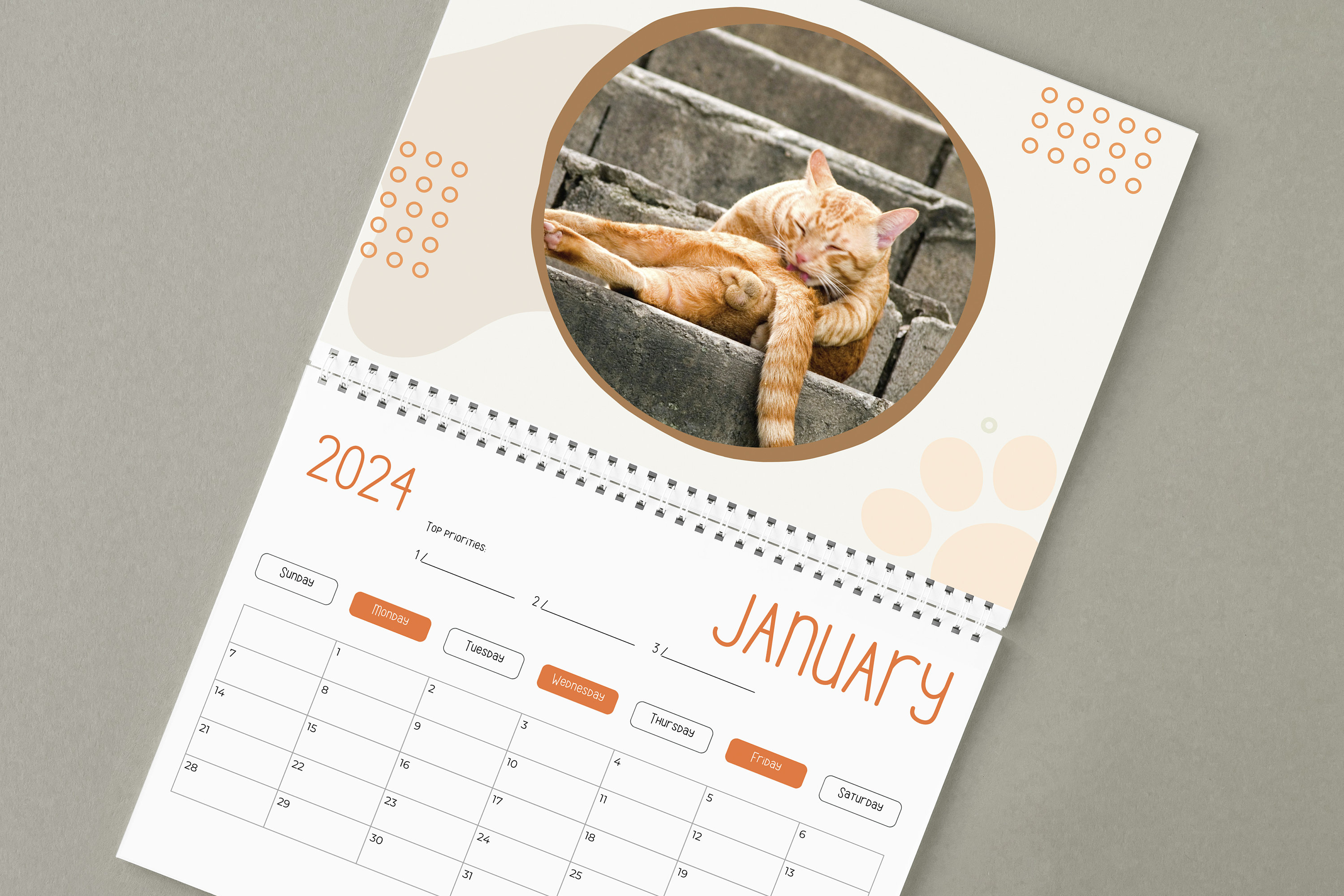 🤣Funny Cat Calendar 2024
