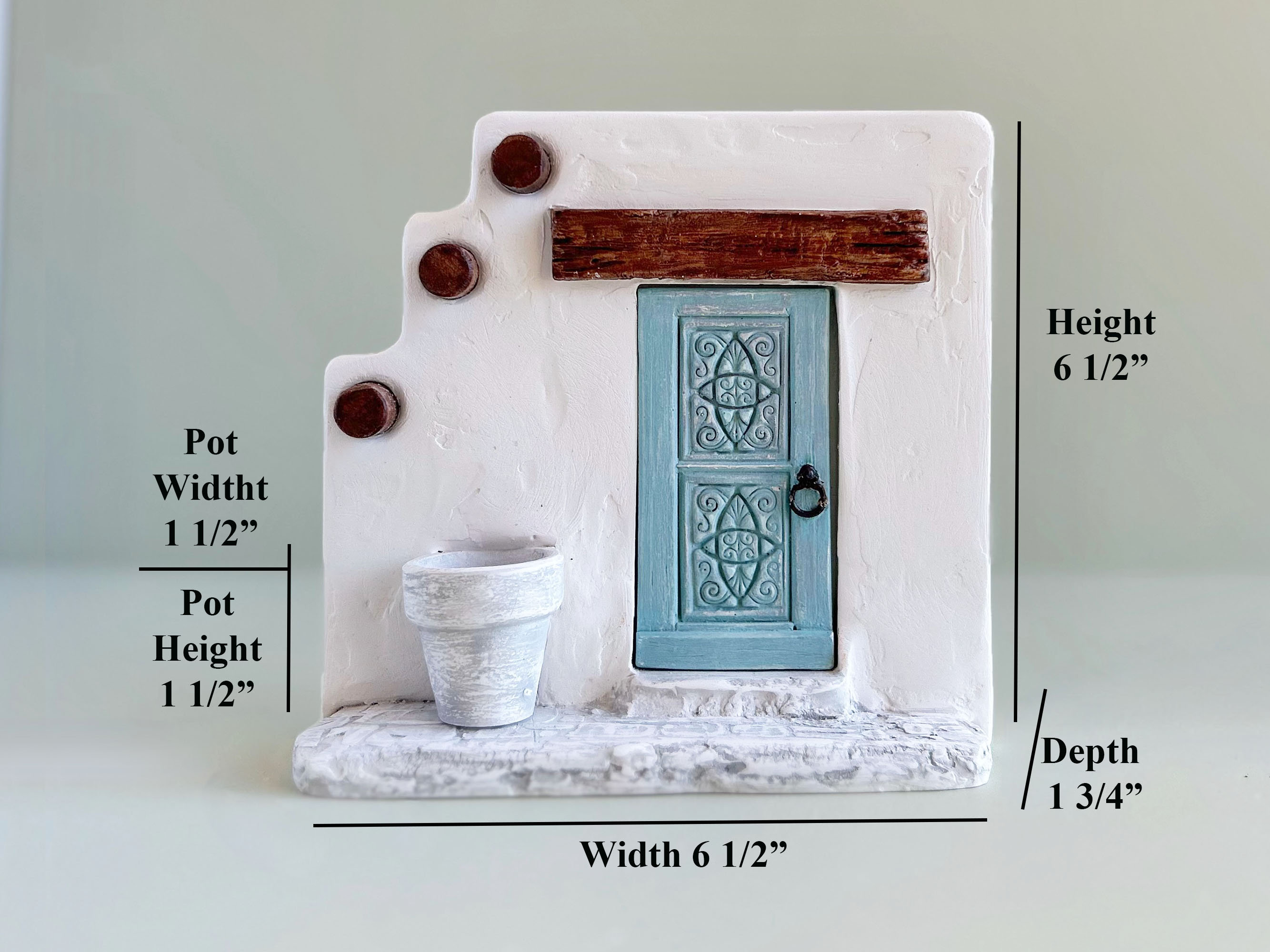 Whimsical Plant Decor Air Plant Display