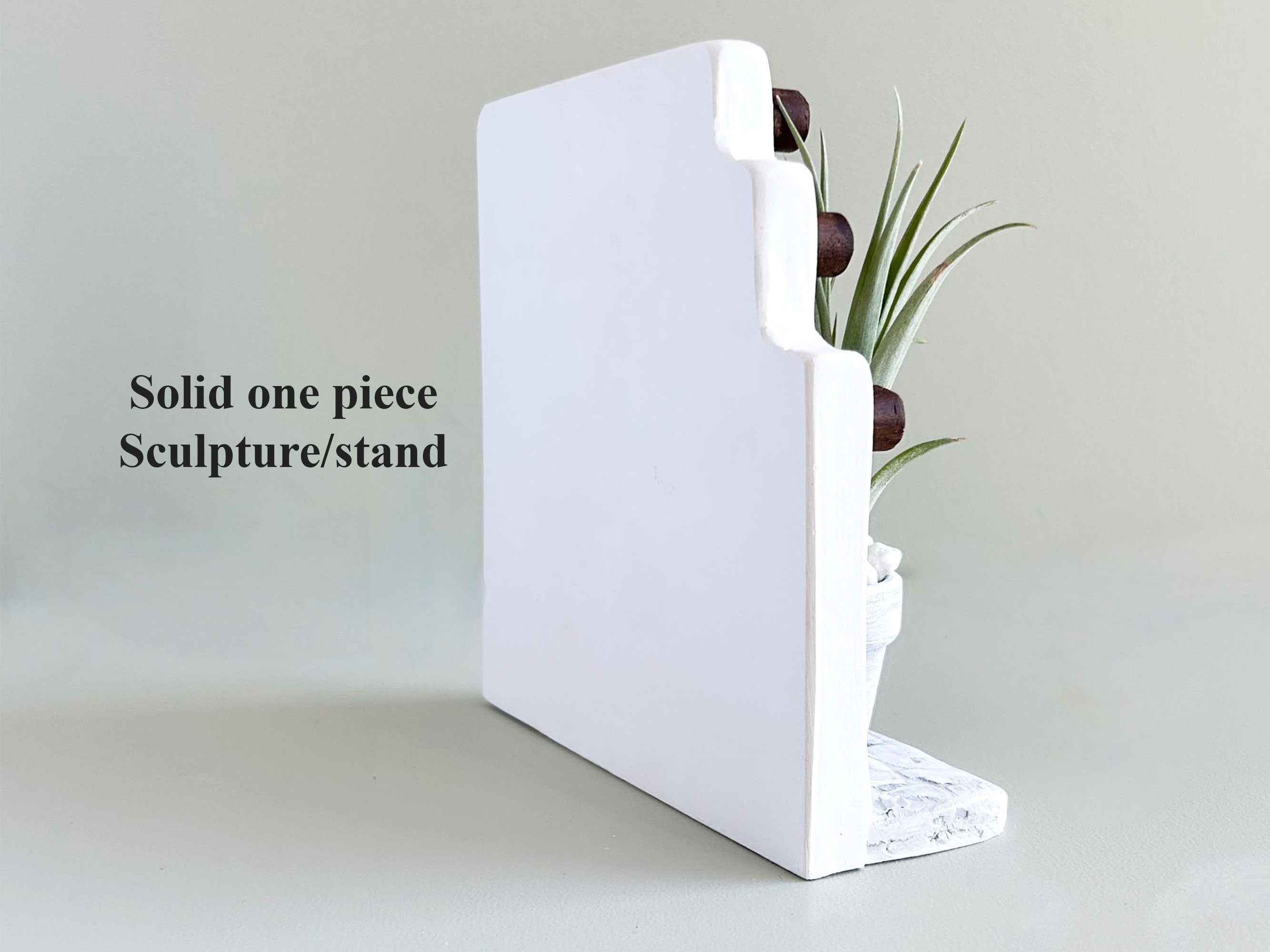 Whimsical Plant Decor Air Plant Display