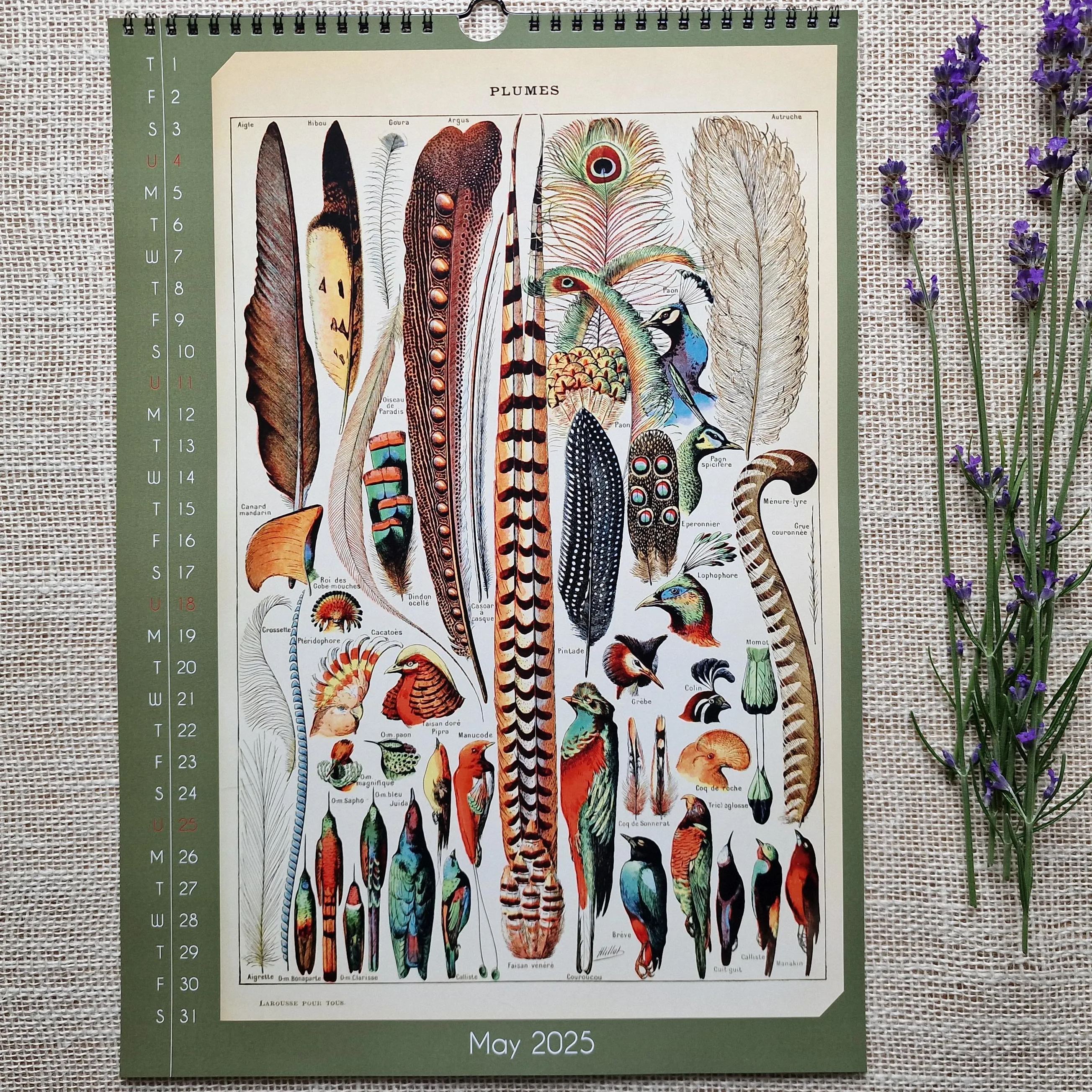 📅2025 Calendar Floral and Botanical