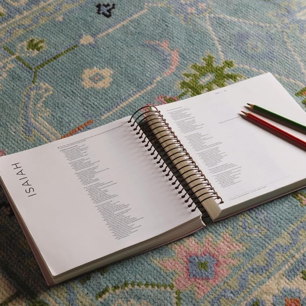NIV, Spiral-bound Illustrating Bible, Leathersoft Spiral, Pink: Draw, Write, and Reflect Your Way Through Scripture