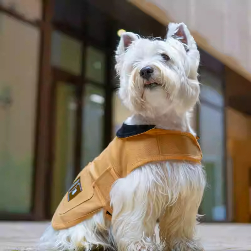 Pet Barn-Style Utility Jacket-Petboxok