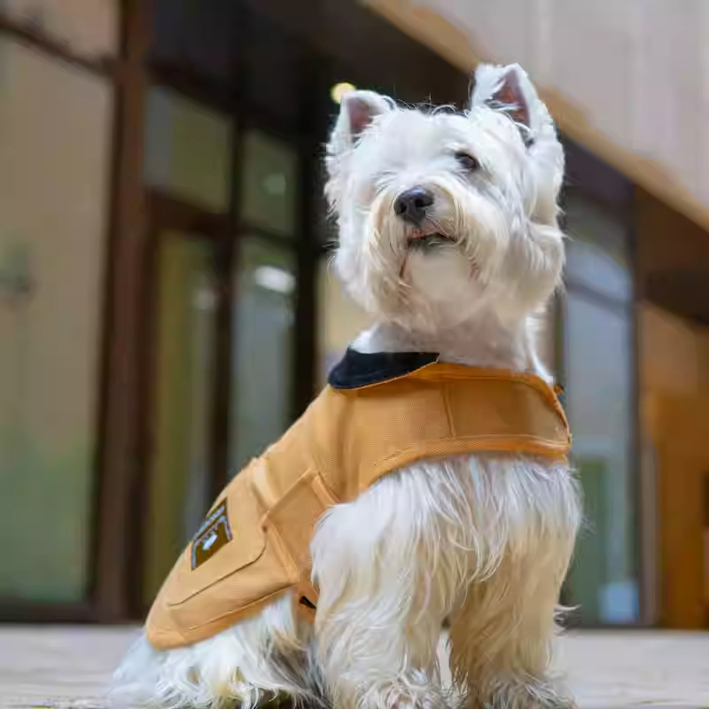 Pet Barn-Style Utility Jacket-Petboxok