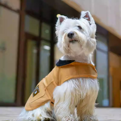 Pet Barn-Style Utility Jacket-Petboxok