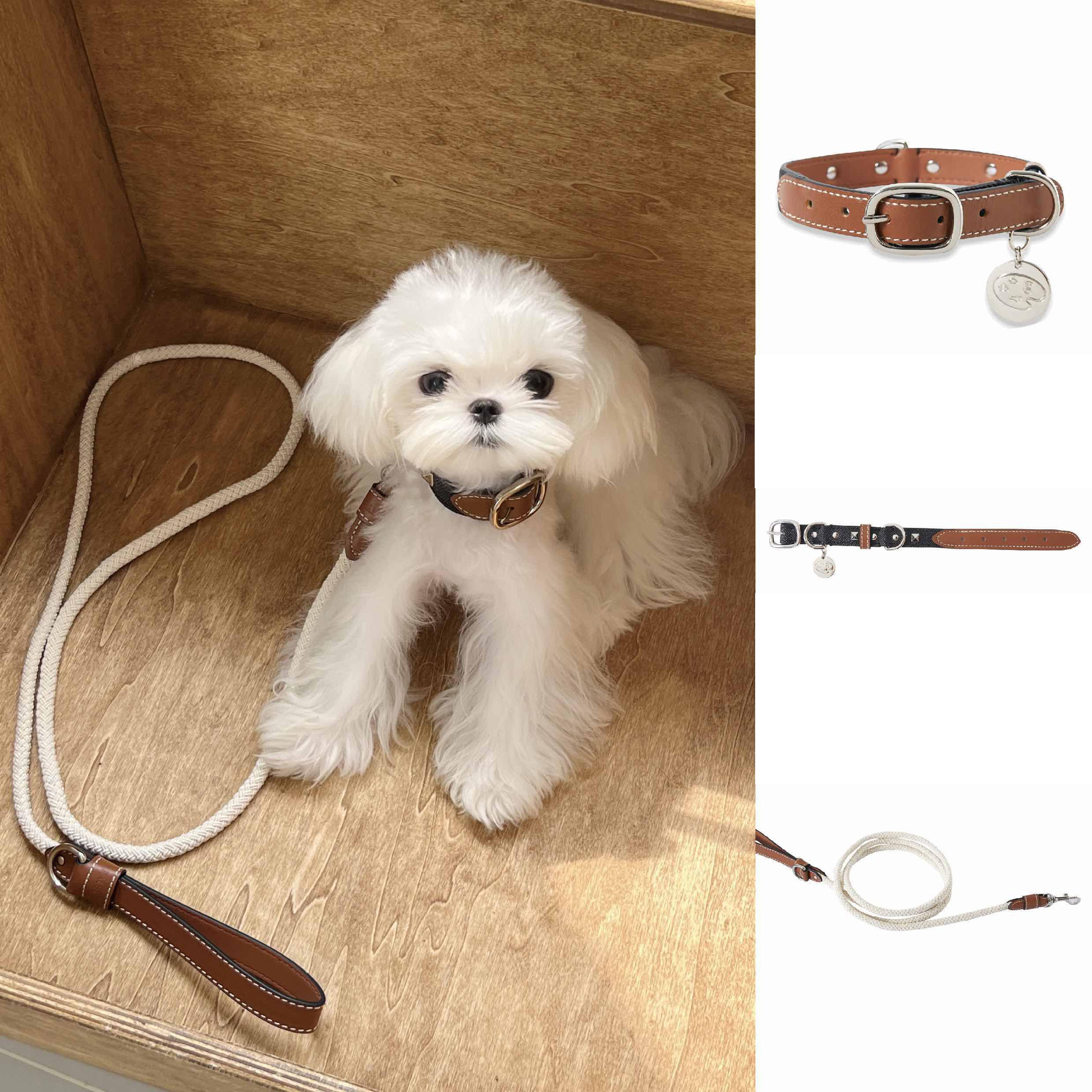 Studded Genuine Leather Collar with Leash