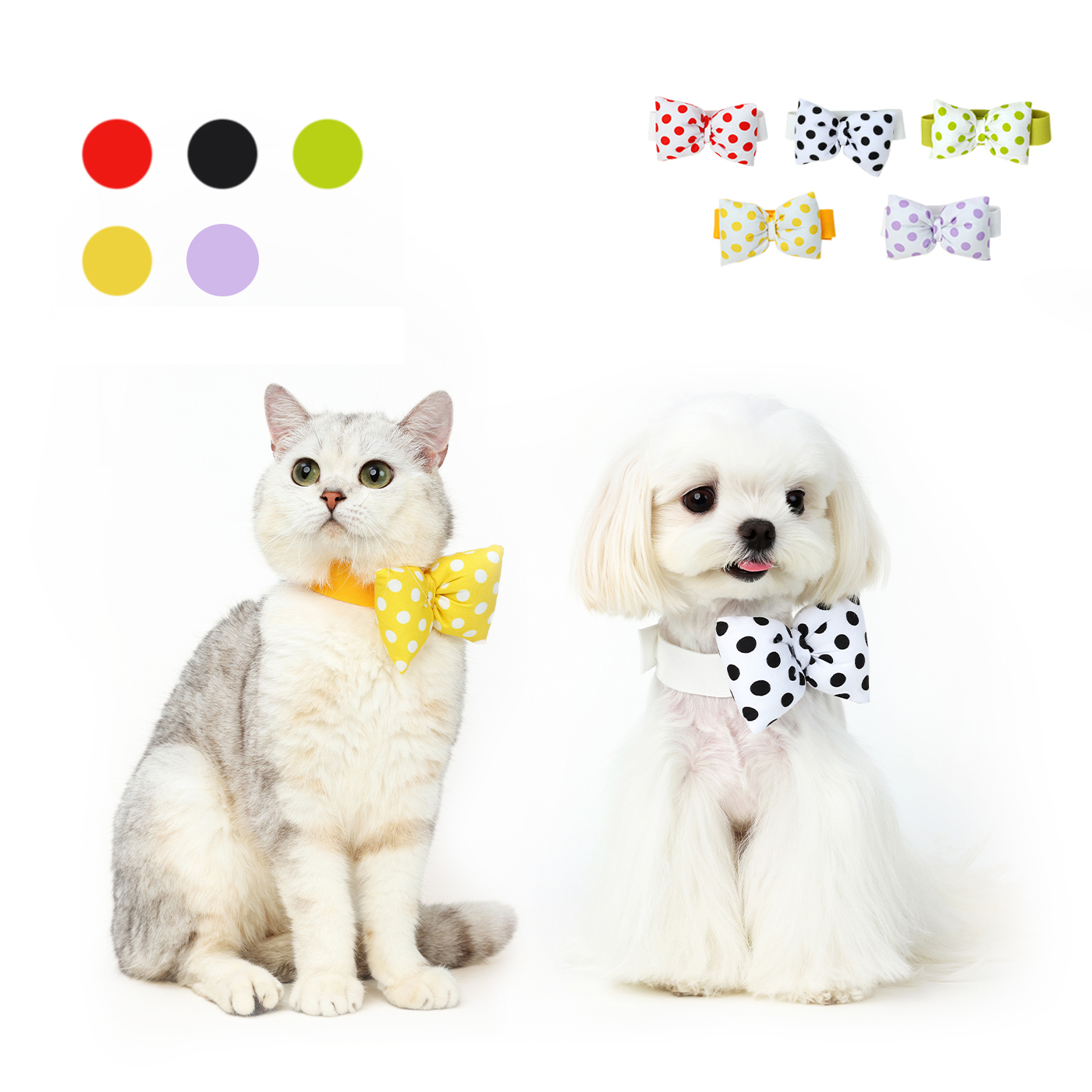 Polka Dot Pet Bow Tie-Petboxok