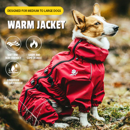 Winter Dog Clothes-Petboxok