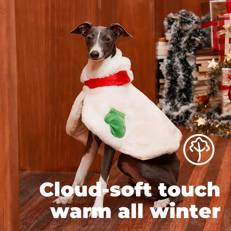 Christmas Snowman Pet Cape