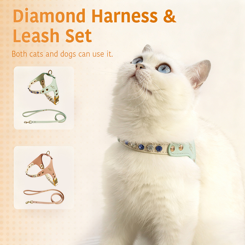 Diamond Harness & Leash Set