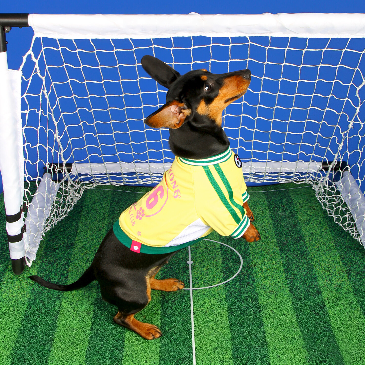 Breathable Pet Soccer Jersey