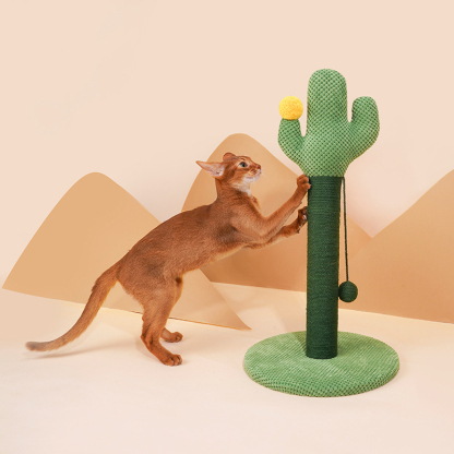 Cactus Cat Scratching Post-Petboxok