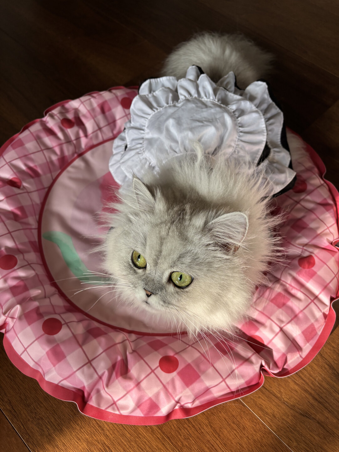 Summer Peach Pet Cooling Mat-Petboxok