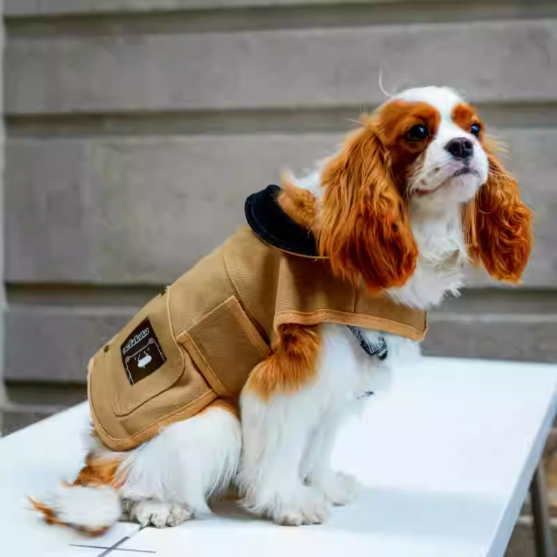 Pet Barn-Style Utility Jacket-Petboxok