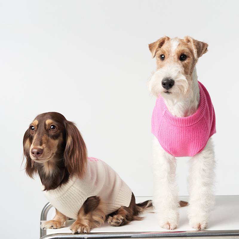 Premium 100% Wool Pet Sweater-Petboxok