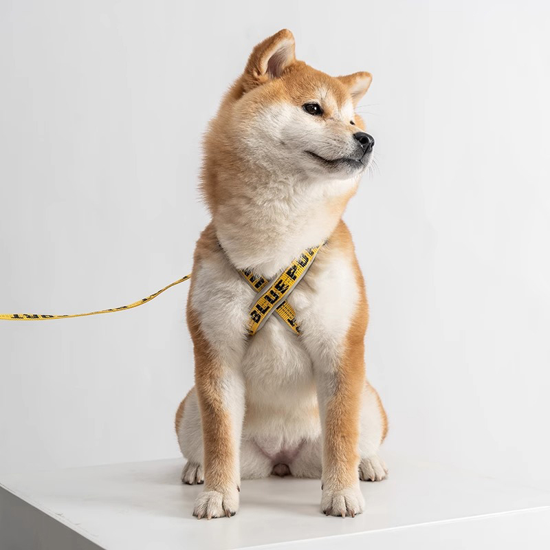 X-Shaped Dog Harness-Petboxok