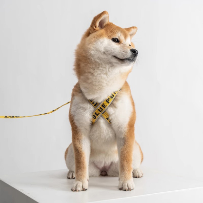 X-Shaped Dog Harness-Petboxok