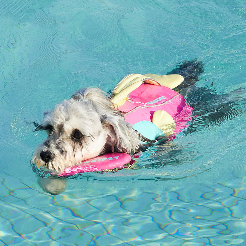 Mermaid Pet Life Jacket-Petboxok