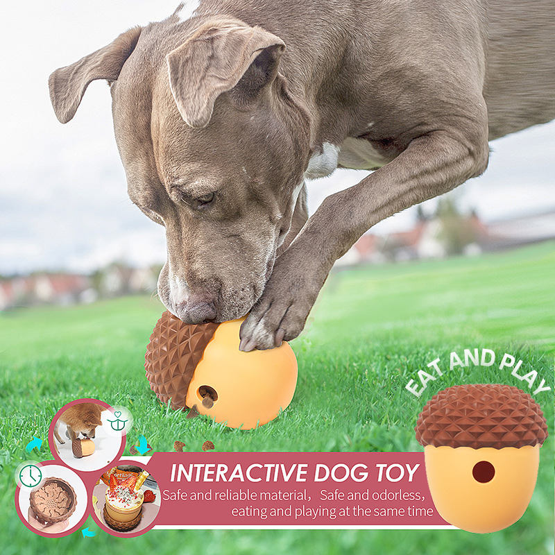 Interactive dog toy-Petboxok
