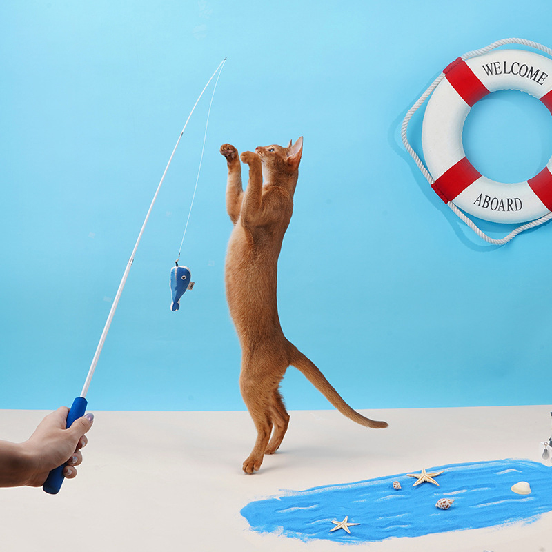 Retractable Cat Teaser Wand-Petboxok