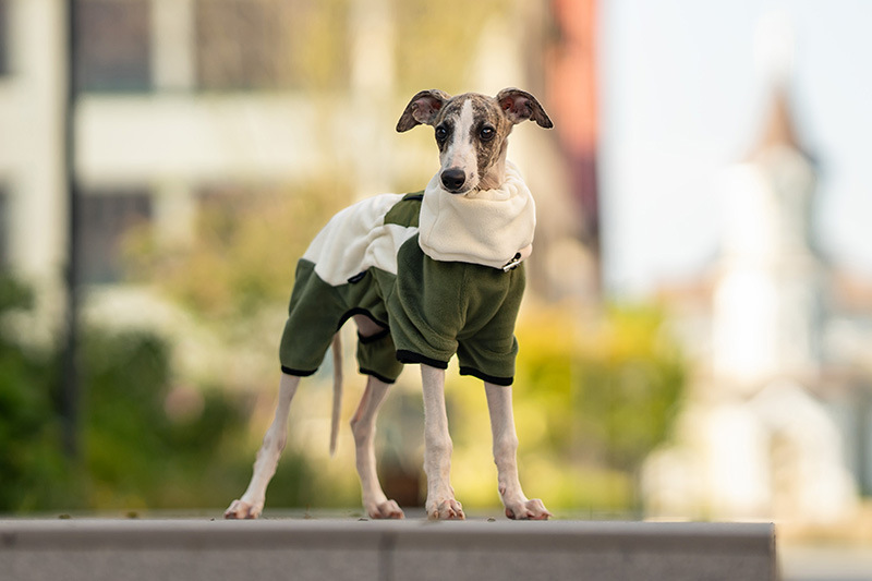 Lightweight Thermal Dog Cat Jacket with Adjustable Fit-Petboxok