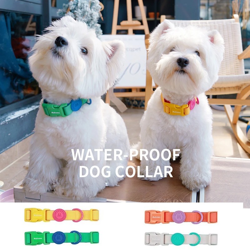 Waterproof Dog Collar-Petboxok