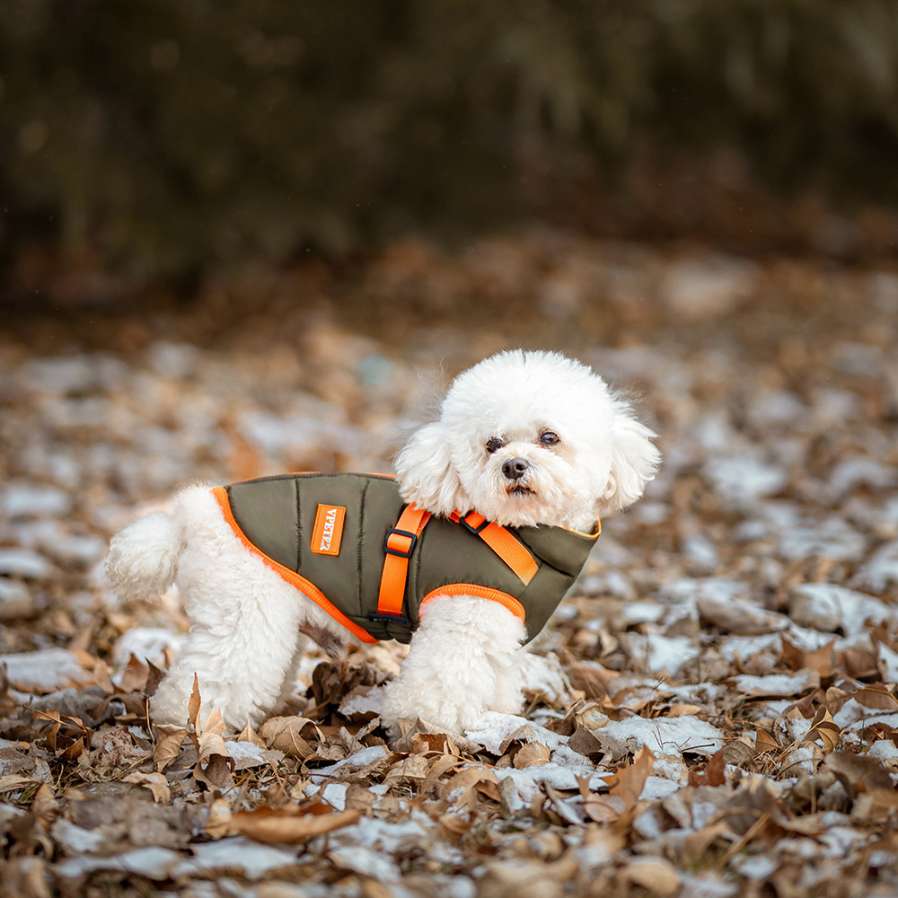 Winter pet cotton coat-Petboxok